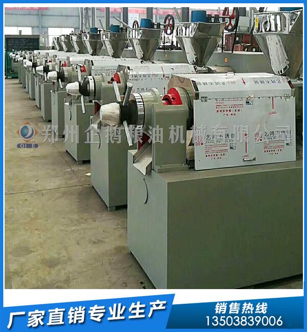 企鵝榨油機(jī):廣西來(lái)賓年產(chǎn)1萬(wàn)噸花生油生產(chǎn)線投產(chǎn)(圖1) 榨油機(jī)