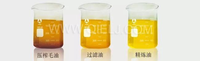 了解壓榨 浸出 精煉工藝出來的油 到底有什么區別？(圖1)