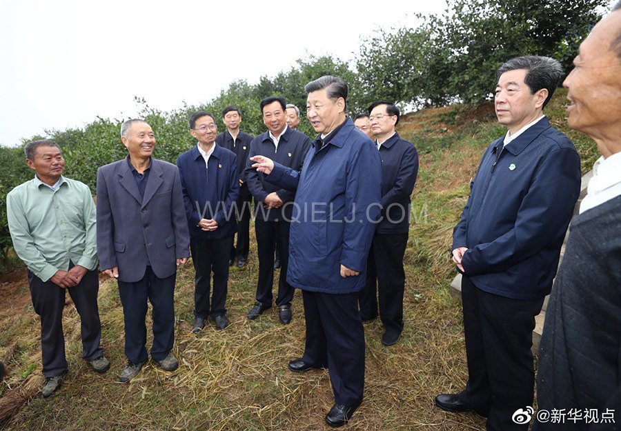 光山油茶籽榨油設(shè)備,山茶籽油榨油機(jī)廠家(圖3) 光山油茶籽榨油設(shè)備,山茶籽油榨油機(jī)廠家(圖3)